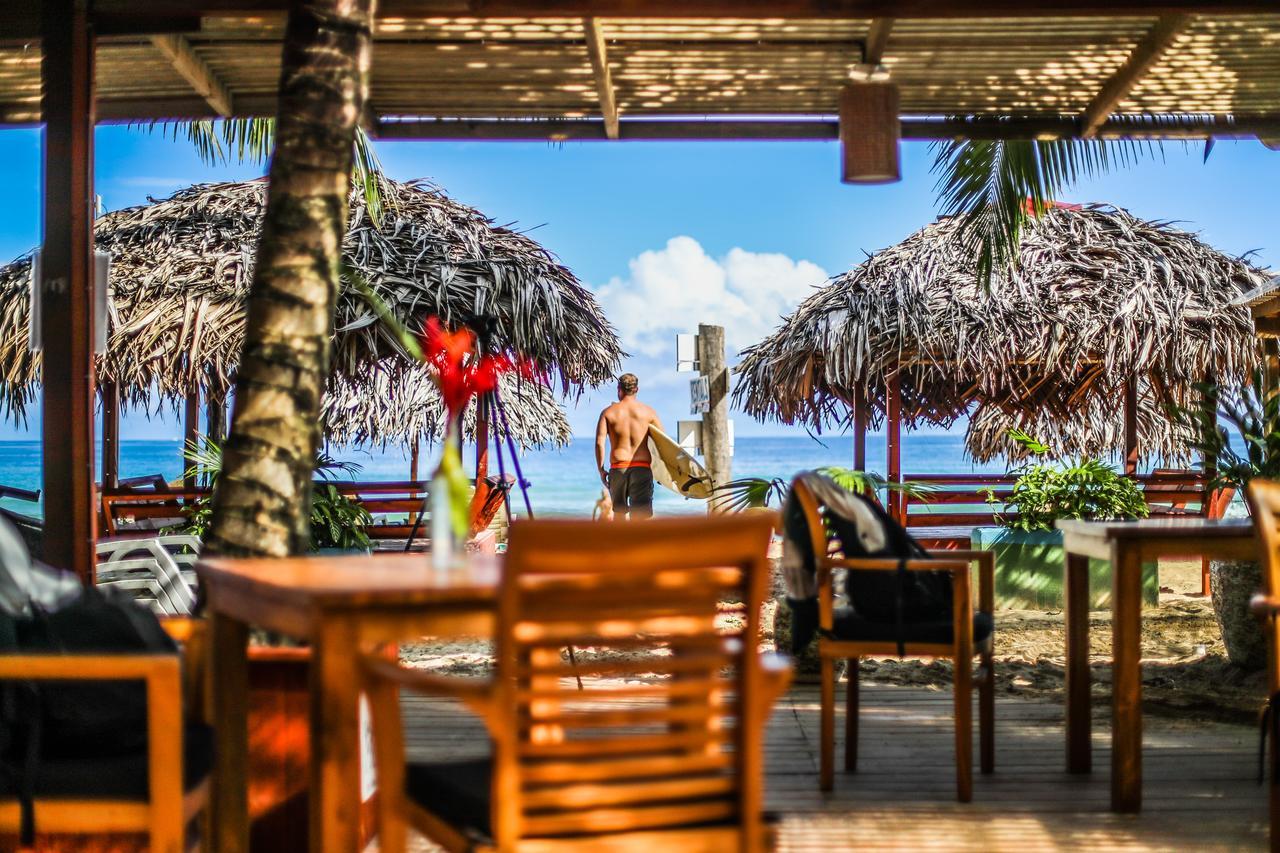 Red Frog Bungalows Surf Resort Bastimentos Exterior photo
